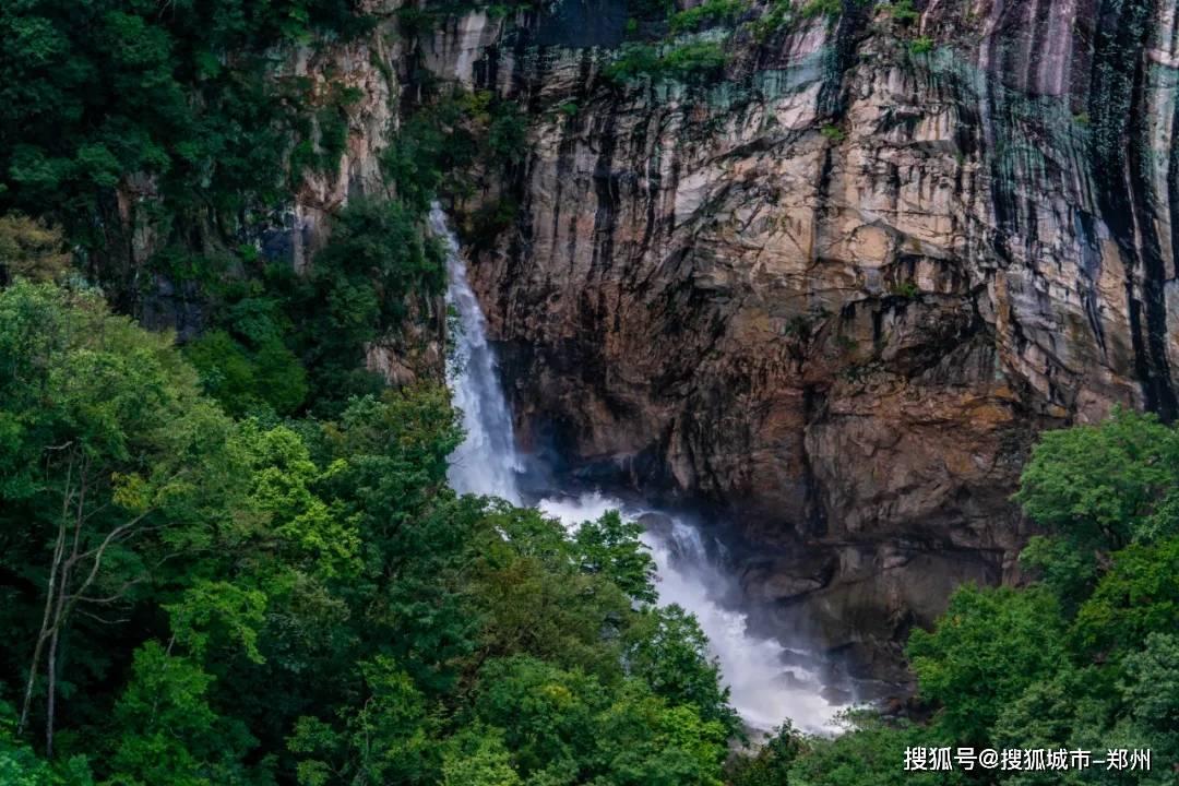 跳蚤怎么消灭蜗牛问答-专注解决你的疑问